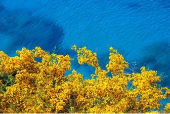 打通升學(xué)立交橋，三校生考本科有哪些途徑？